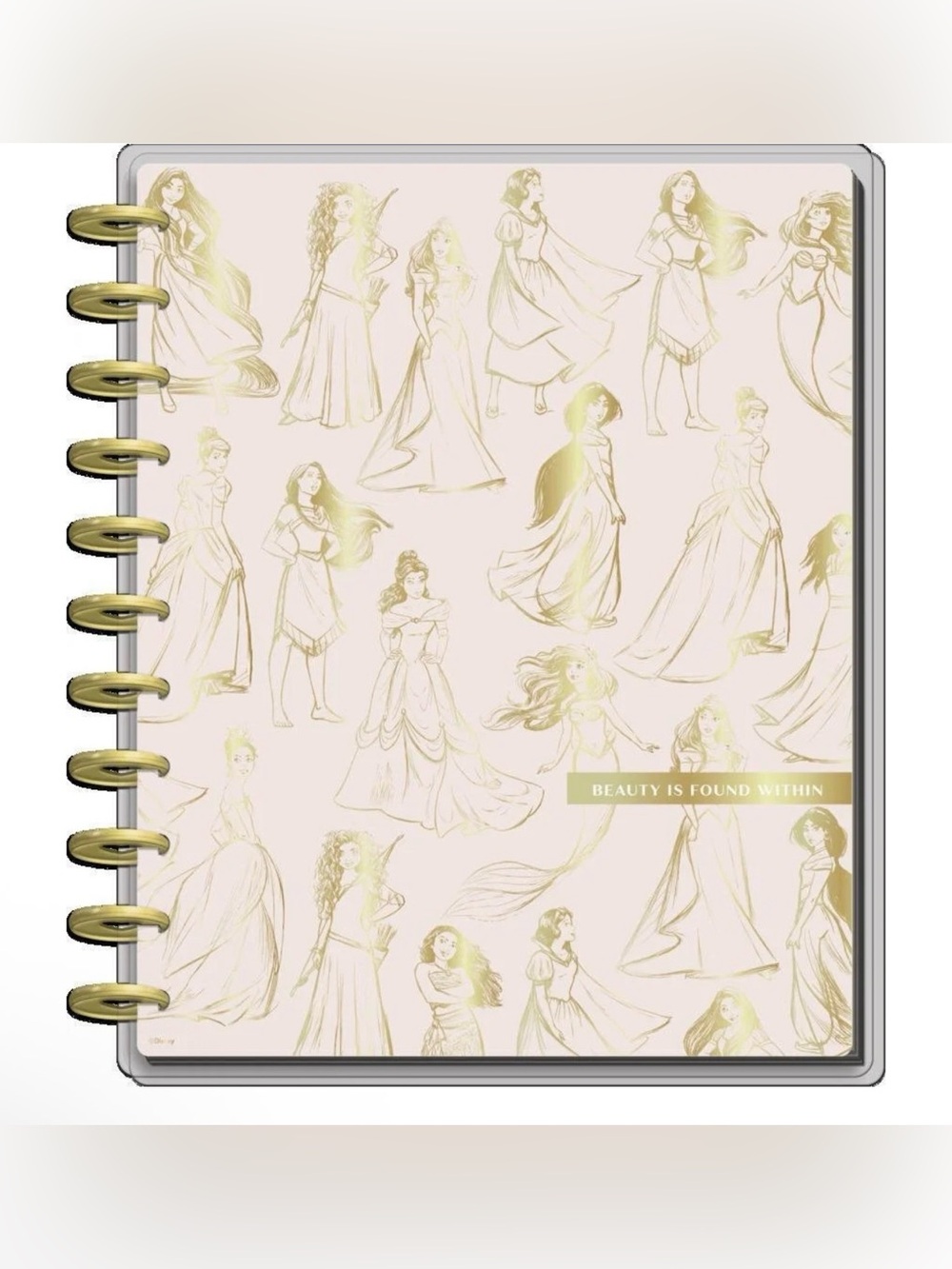 Happy Planner Disney Princess Big Notebook